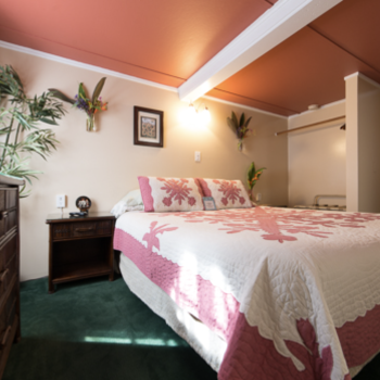 Wailuku Guesthouse Wailuku Guesthouse